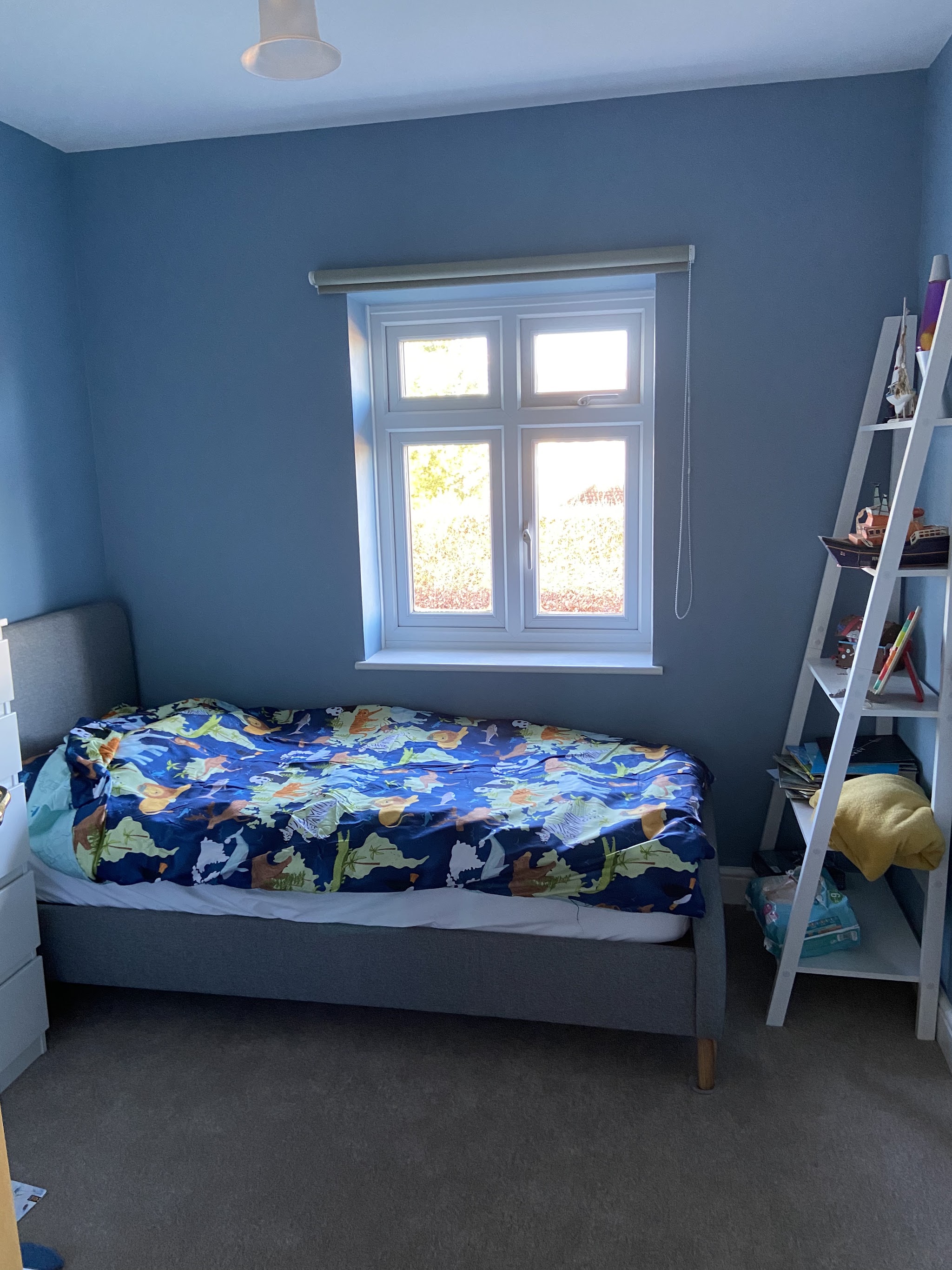 Blue child's bedroom with a white window and bookshelf